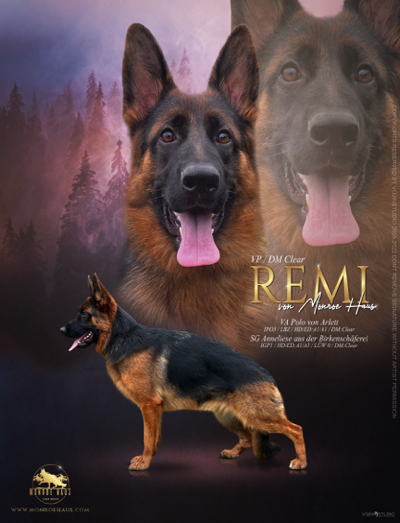 Remi von Monroe Haus